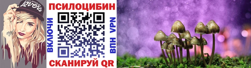 Псилоцибиновые грибы Psilocybe  Гай 